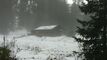 Vendu : Chalet rustique en plein coeur de la nature aux Mosses
