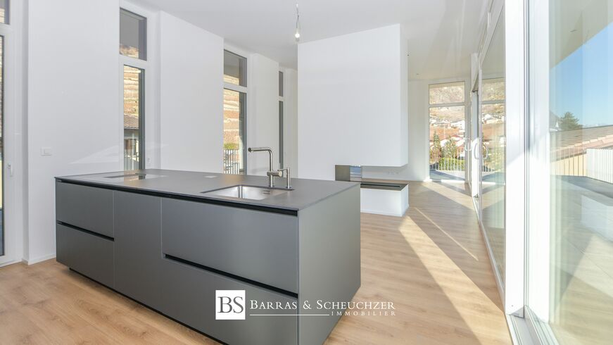 NEUF: Splendide attique contemporain avec vaste terrasse