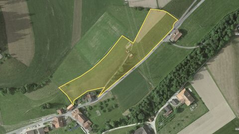 Terrain agricole CH-3438 Lauperswil