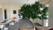 ALDESAGO - LUGANO
3.5  rooms Apartment