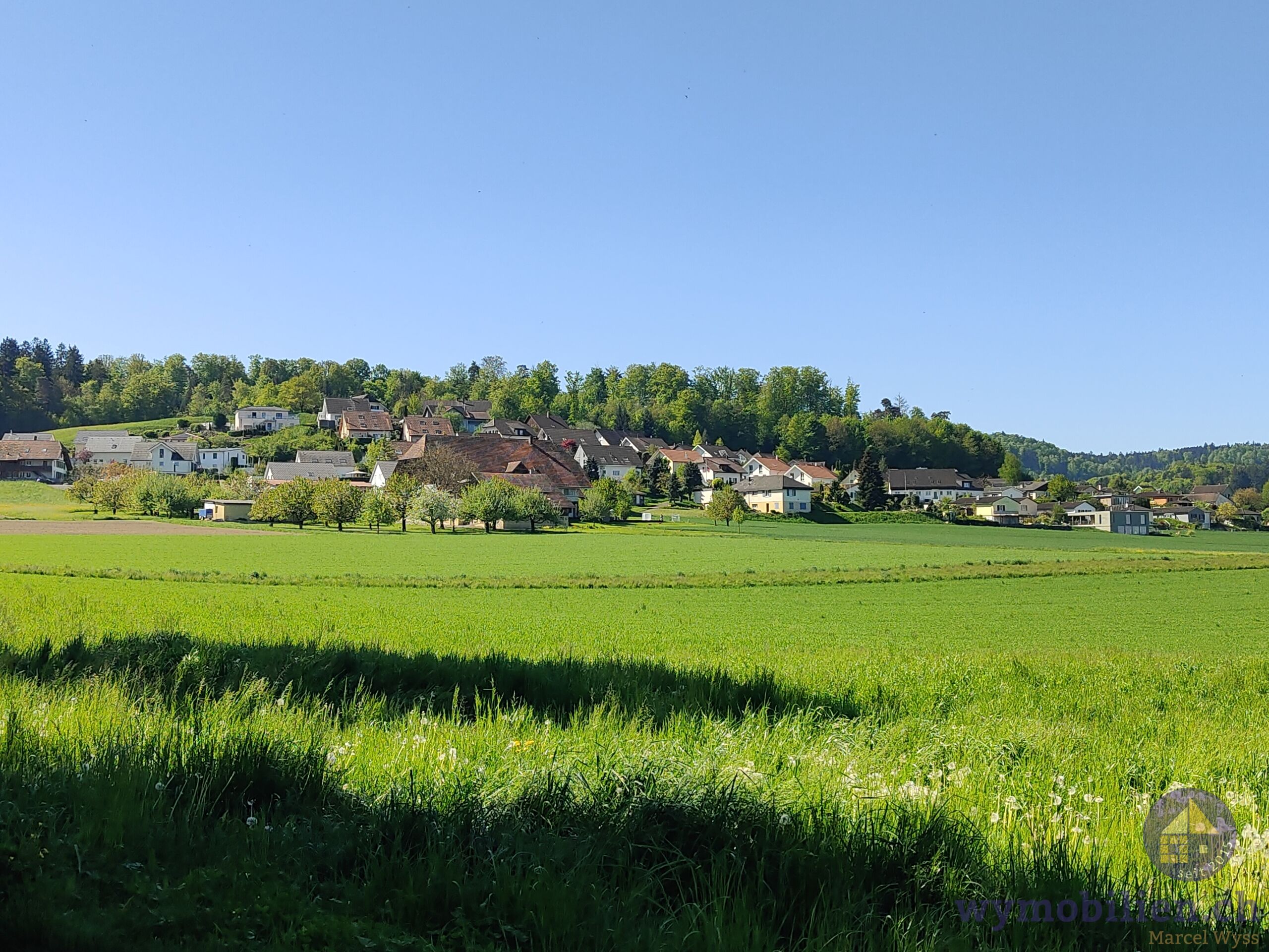 Das Einfamilienhaus liegt in einem idyllischen Wohnquartier