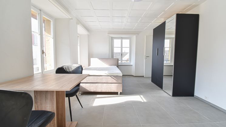 Möblierte 1 Zimmer-Apartment  Nr.  5 an zentraler Lage in Döttingen
