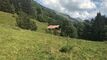 Trop tard ! Là-haut sur la montagne, l'était un vieux chalet...