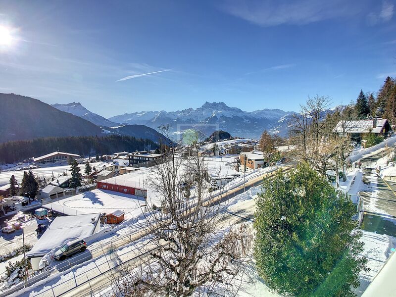 Apartment at the foot of the slopes (literally) with stunning views!