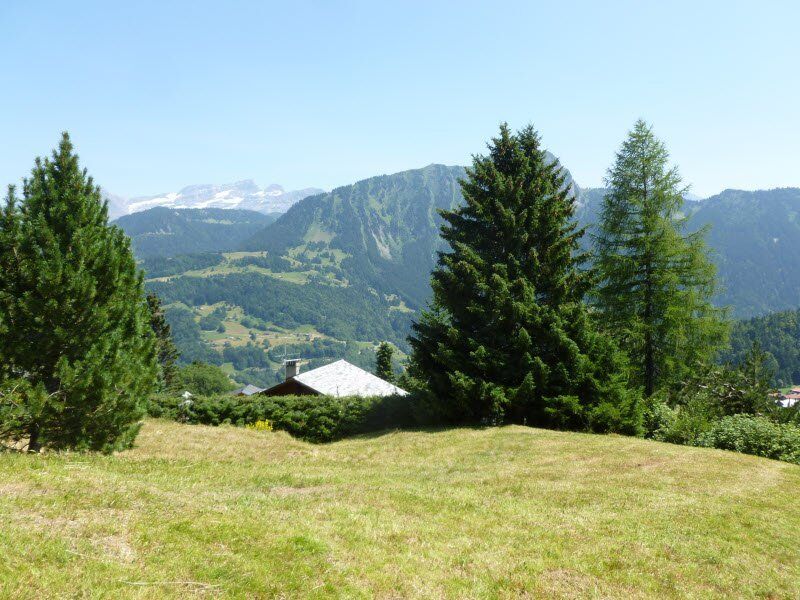 Land CH-1854 Leysin