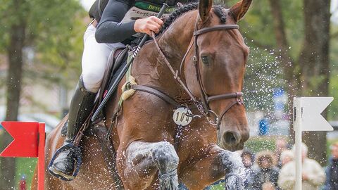 L’équitation, une histoire de famille