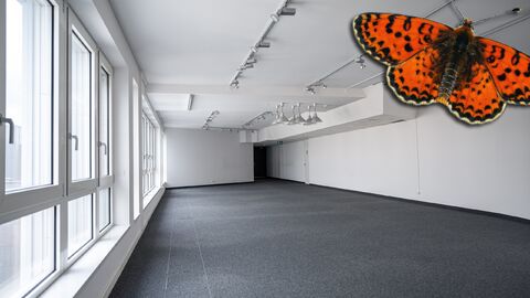 SURFACE ADMINISTRATIVE AU DERNIER ETAGE
de 196 m²