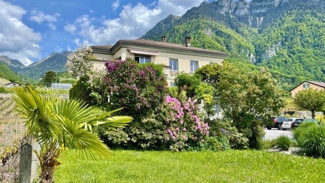 Large mansion with 3 apartments overlooking the lake