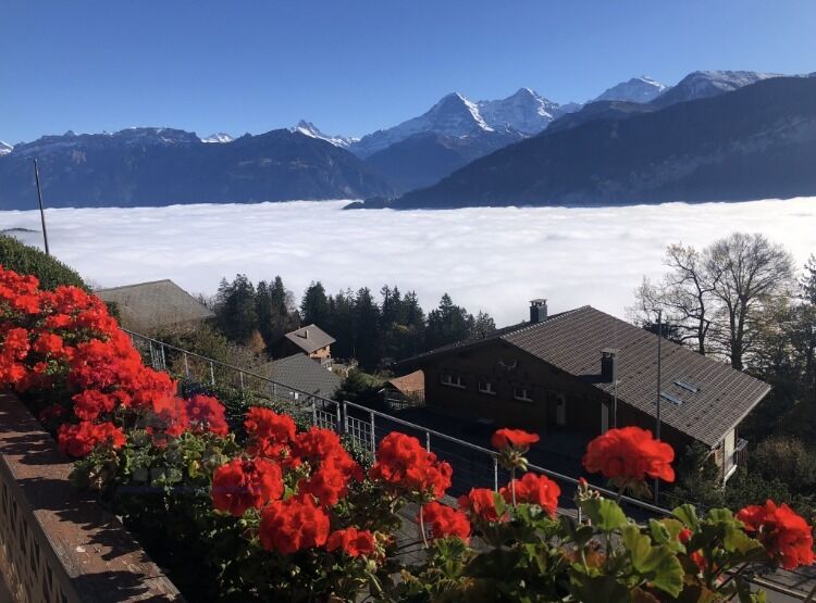 Geniessen Sie schon bald diesen Ausblick aufs Nebelmeer! 