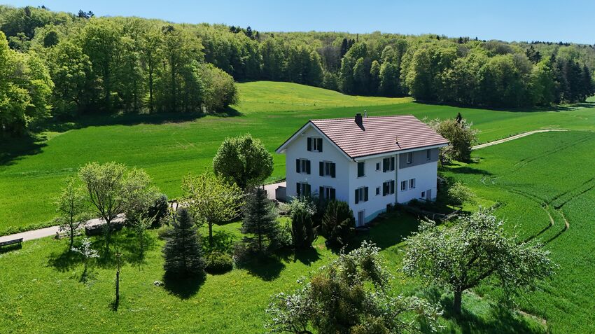 Single family house