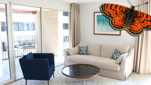 Appartements contemporains… fonctionnels et proches des commodités !