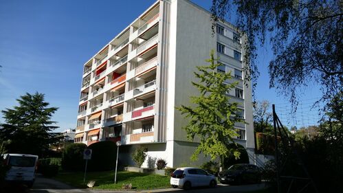 A vendre
15 actions de Société Immobilière
Logement de 2,5 pièces loué