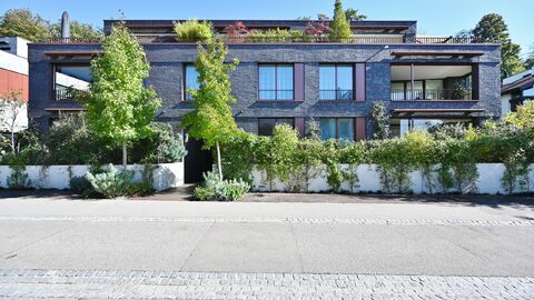 Attic flat CH-4102 Binningen