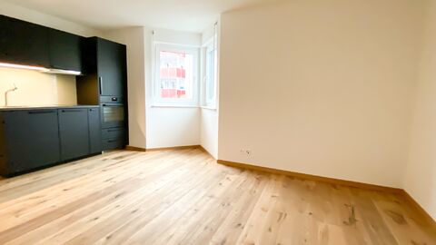 Modernes 1 Zimmerwohnung/Appartement/Studio in Gontenschwil AG