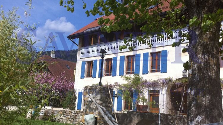 TWO APARTMENTS in a beautiful village house