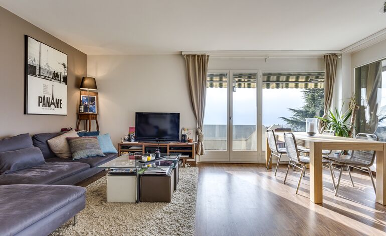 Beau 2.5 pièces avec terrasse, jardin et vue panoramique sur le lac