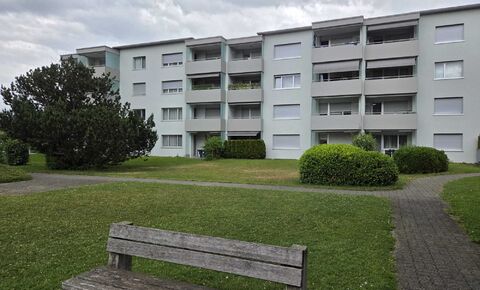 Charmante Single-Wohnung