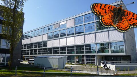SURFACE COMMERCIALE BRUTE DE 213 M²