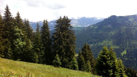 Les Diablerets : Chalet très tranquille à finir de rénover. Vue majestueuse.