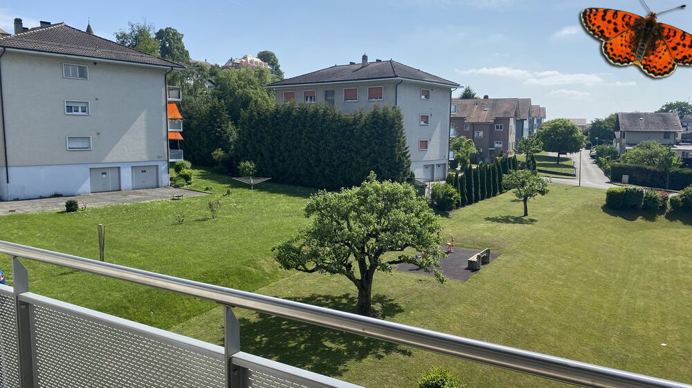 Vue