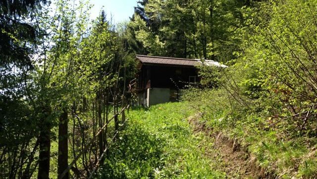 Elle est vendue : La cabane de Robin des Bois aux portes des Diablerets !