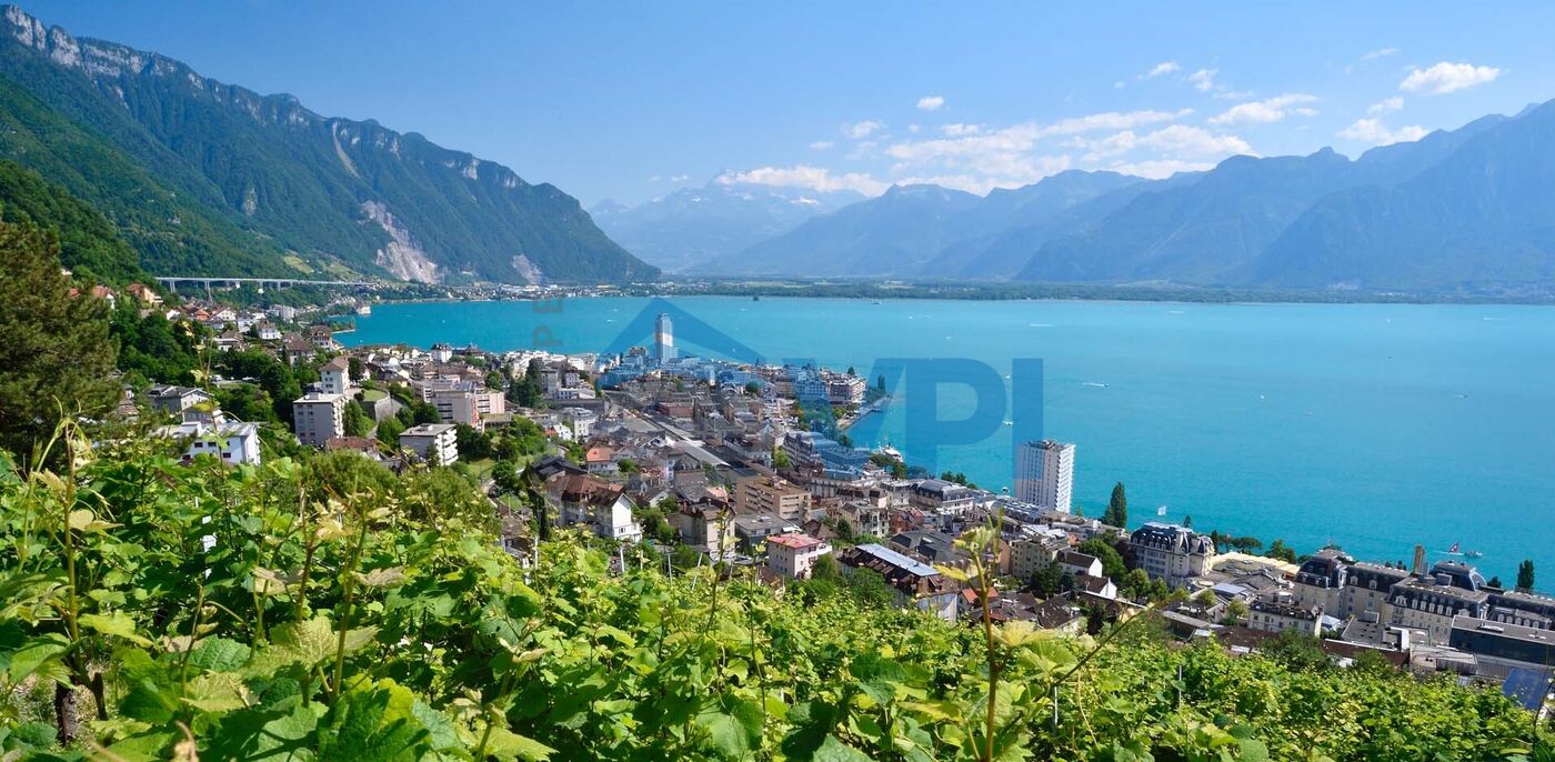 Café-Restaurant-Bar au centre de Montreux
