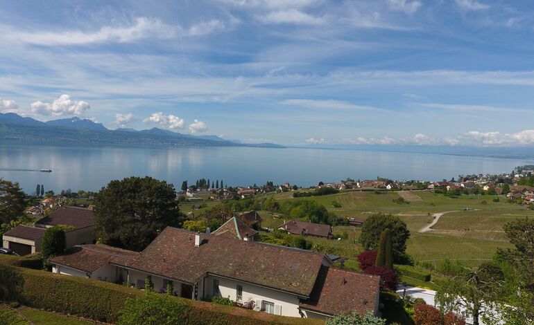 Une vue à couper le souffle !