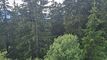 Condominium apartment CH-3963 Crans-Montana