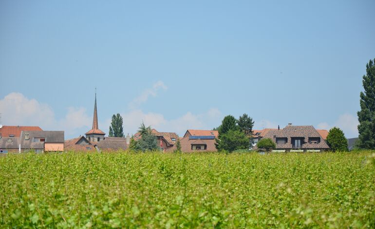 Terrain pour immeuble avec plans, libre de mandat