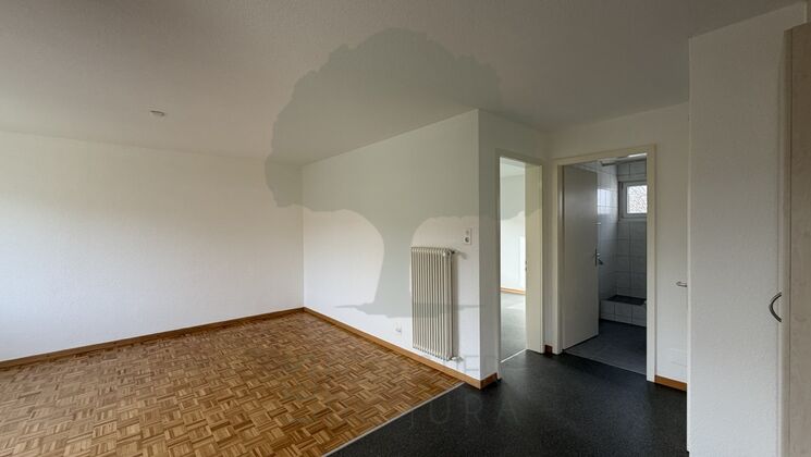 Appartement 2.5 pièces