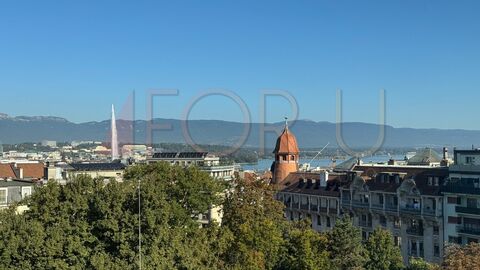 Apartment CH-1208 Genève, rue Henri-Mussard