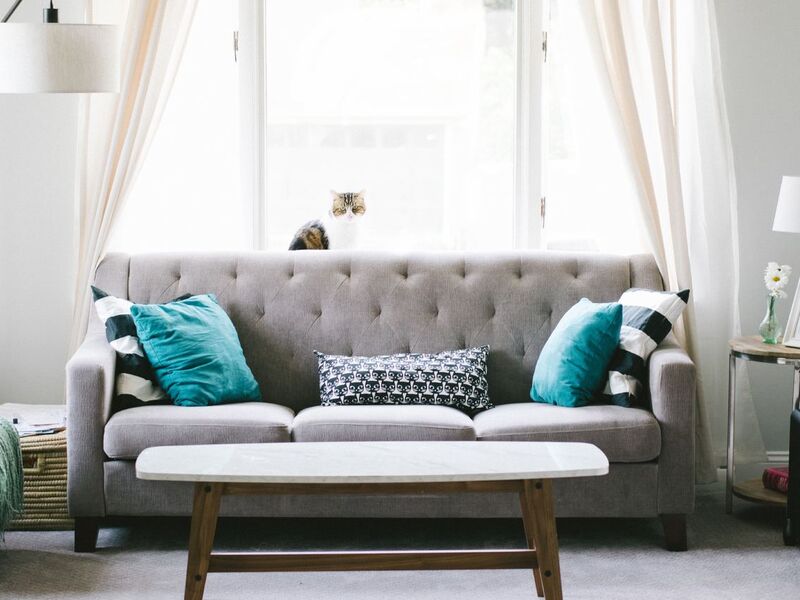 Nouveauté dans le design d'intérieur