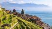 Maisonette-Wohnung CH-1071 St-Saphorin (Lavaux)