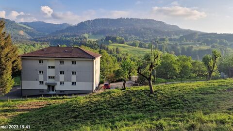 Attraktive Wohnung mit Garten und ohne Vis-avis !