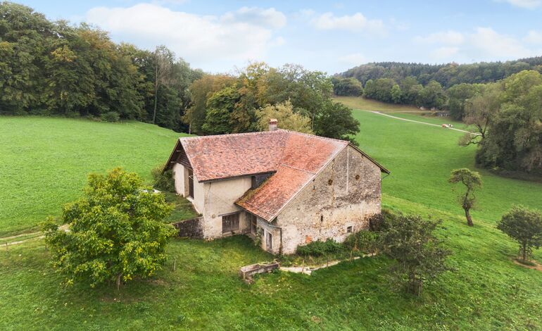 Magnifique cadre bucolique pour cette ferme à rénover
