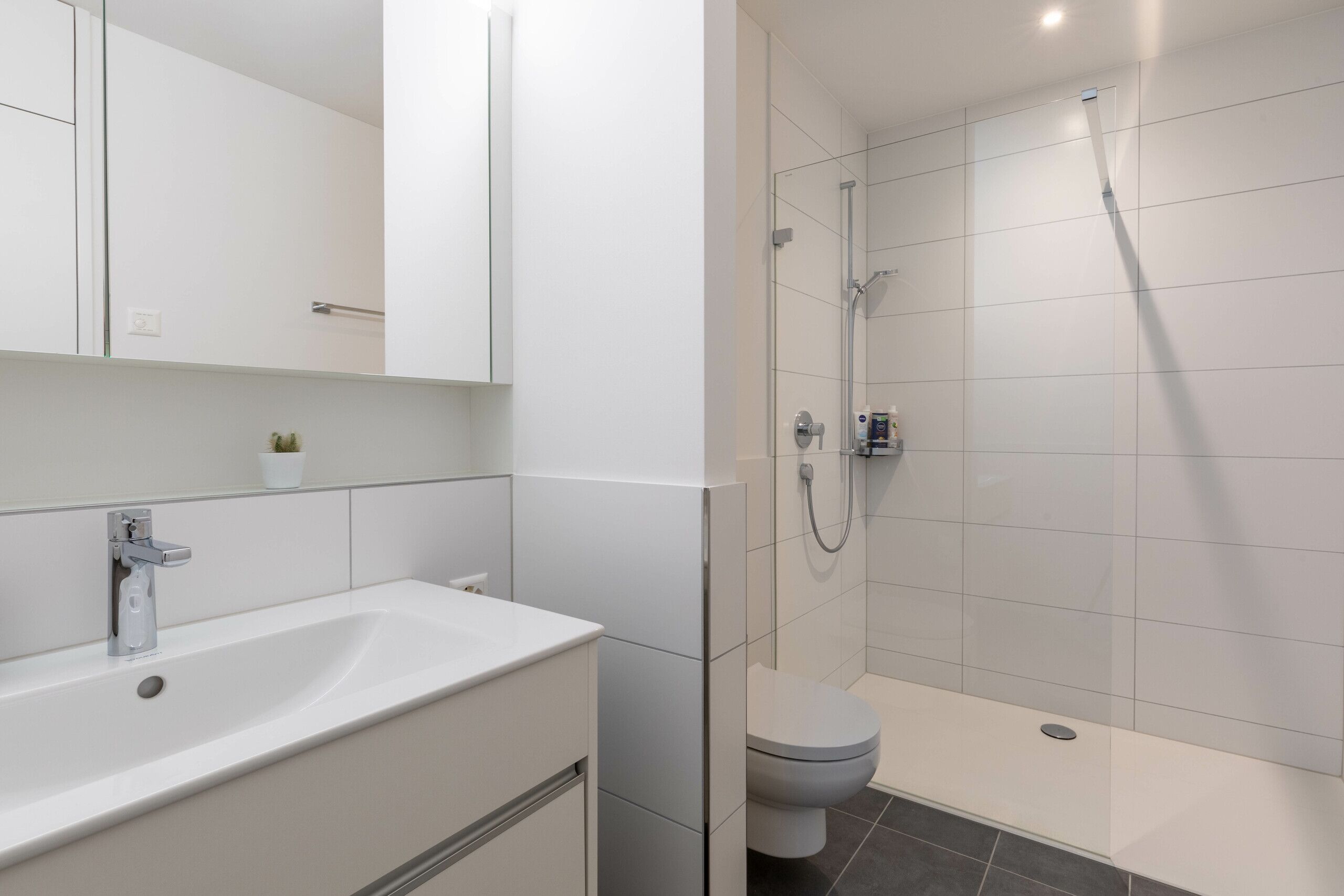 Badezimmer mit WC, Lavabo und Dusche