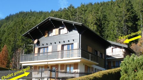 Spacious chalet with 7 rooms + dependence