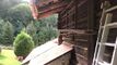 Trop tard ! vendu : un chalet authentique au coeur de la nature.