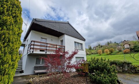 6.5 room family house with independent activity on the ground floor