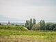 Superbe appartement en vente sur plans 
avec jardin