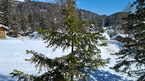 Chalet CH-3963 Crans-Montana
