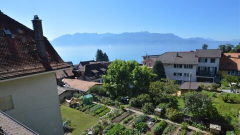 Charming Renovated Village House, 11 Rooms, View, Garden, Parking