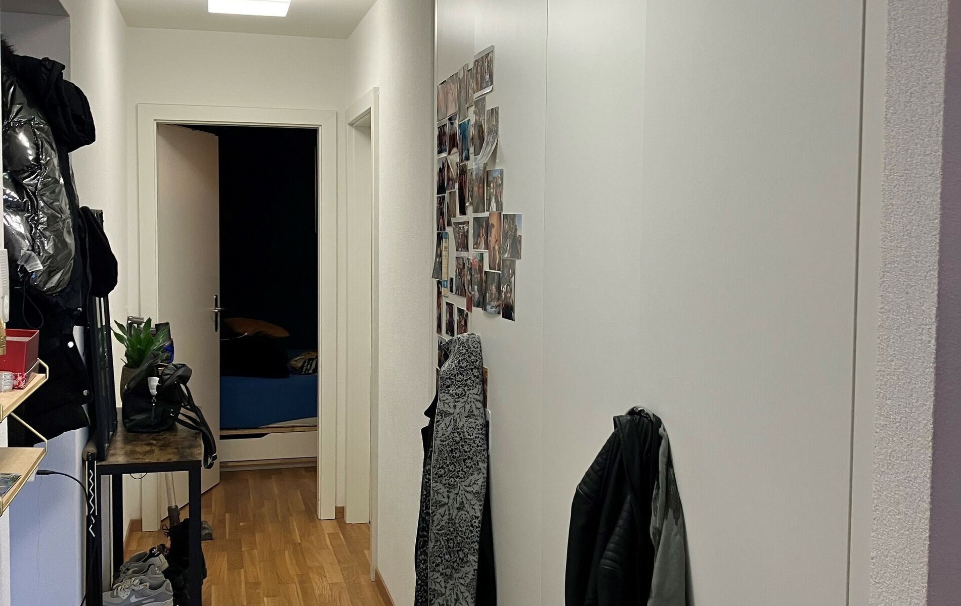 Photo 7