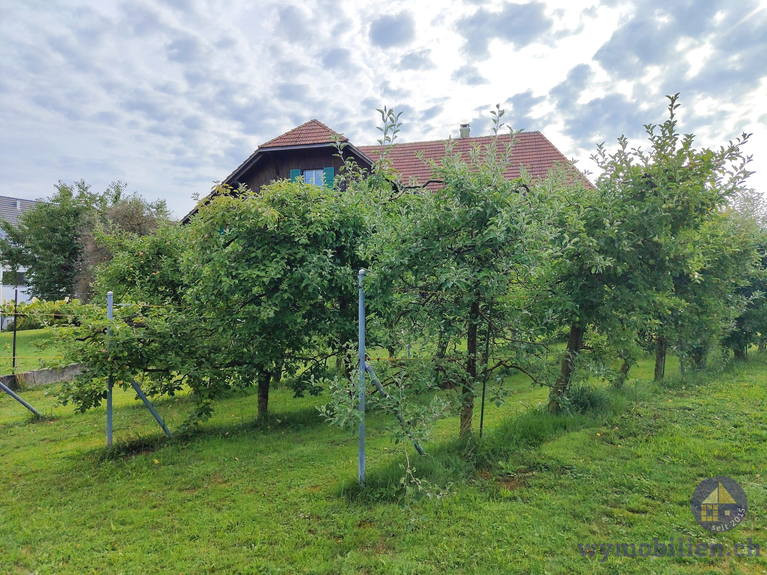 Fassade West hinter den Obstbäumen