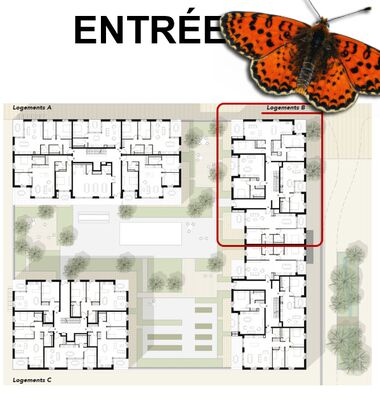 Entrée B1