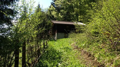 Elle est vendue : La cabane de Robin des Bois aux portes des Diablerets !