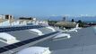 Immobile per artigiani CH-1260 Nyon