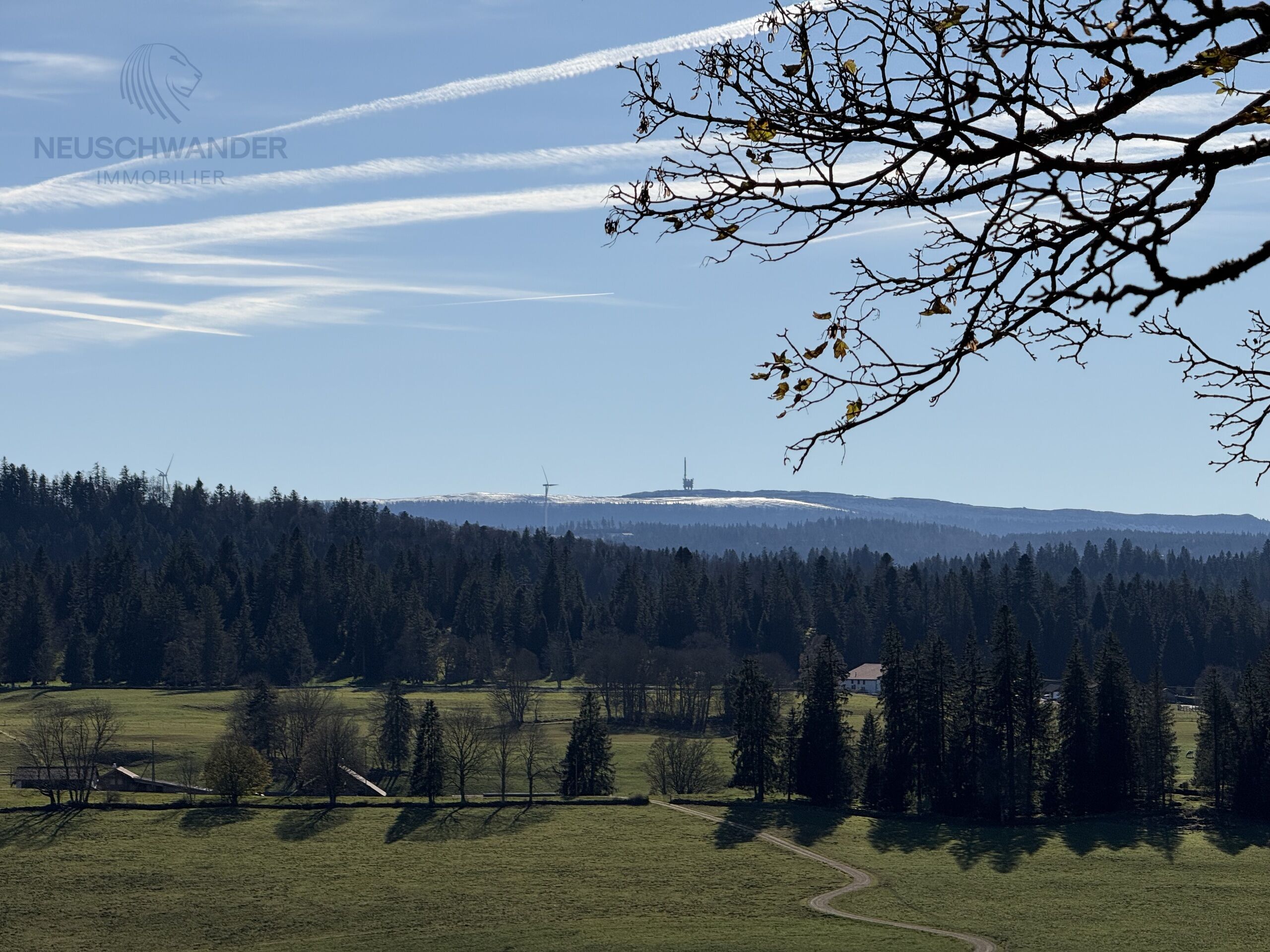 vue du Mythique Chasseral depuis la maison