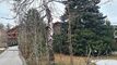 Condominium apartment CH-3963 Crans-Montana, Tsarbouye 25