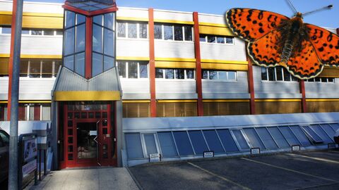 SUPERBES SURFACES ADMINISTRATIVES de 137 m²